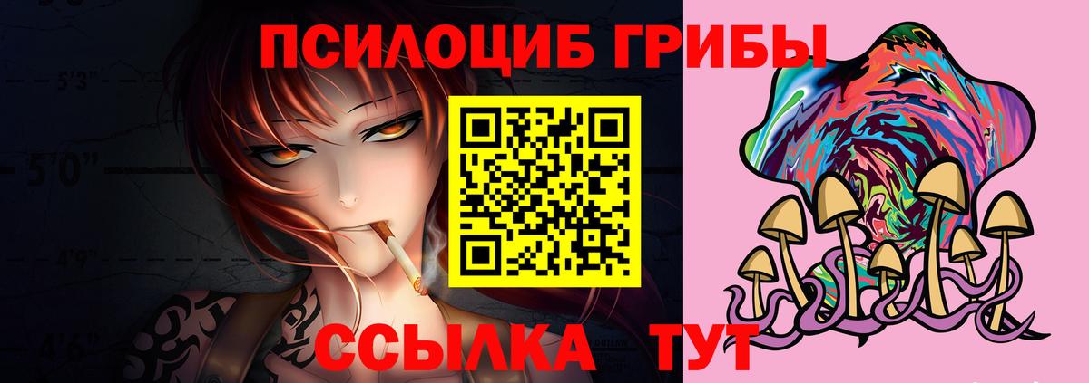Норильск  Псилоцибиновые грибы Psilocybine cubensis  Вход с VPN  Галлюциногенные грибы MAGIC MUSHROOMS 